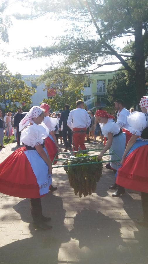 Гостьовий будинок Za Vodou Моравска-Нова-Вес Екстер'єр фото